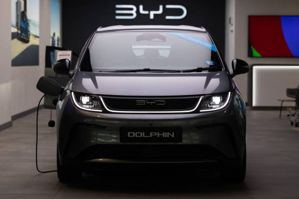 Front view of a BYD Dolphin electric car plugged into a charging station inside a showroom